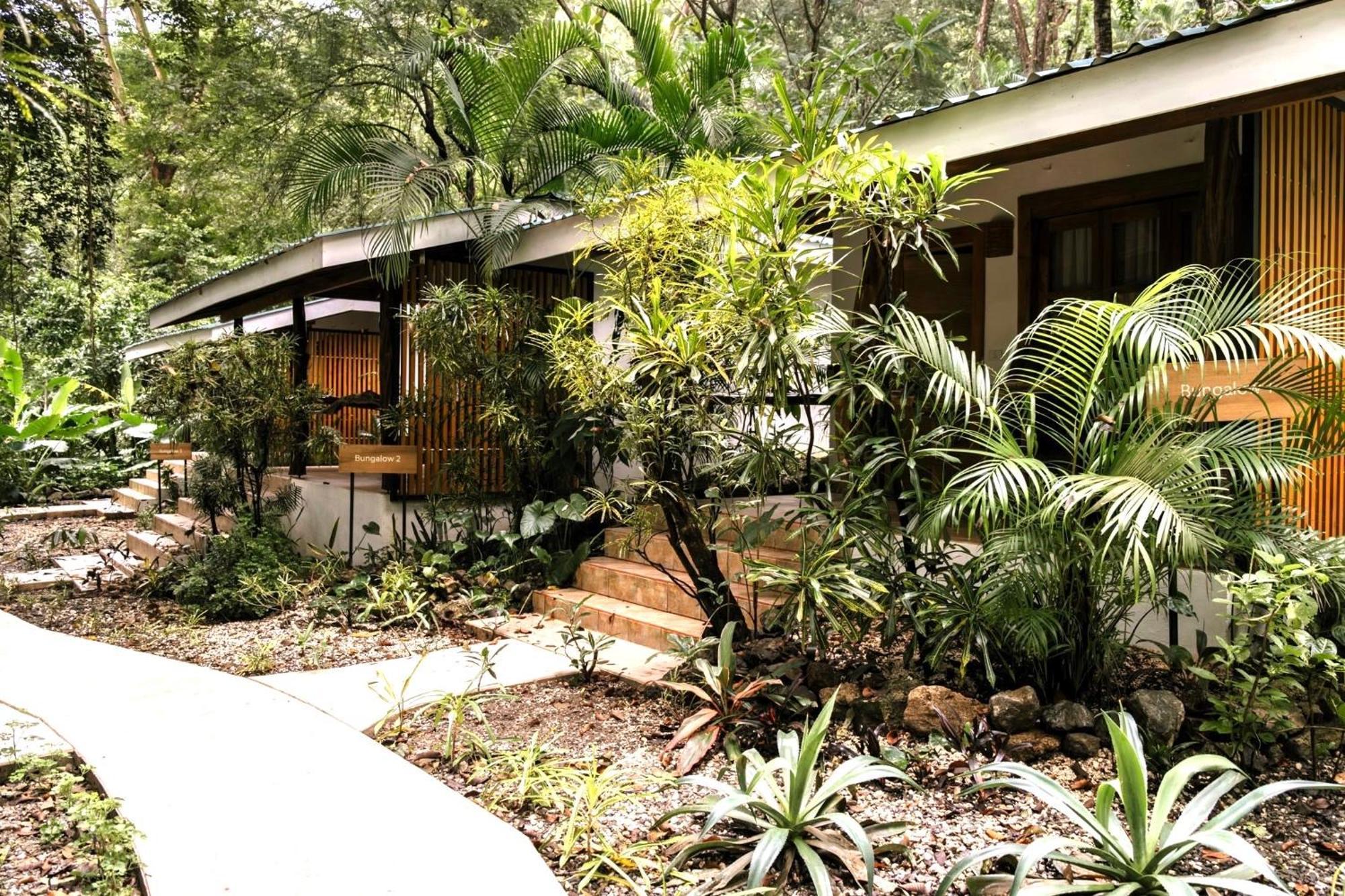 Makanas Beach Bungalows Playa Santa Teresa  Buitenkant foto
